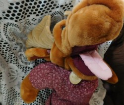 wrinkles moose a